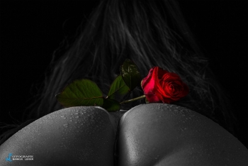 14689712_1120820971342190_1953649475_o