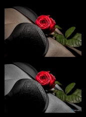 7X0A5985Black-White-Color-Key